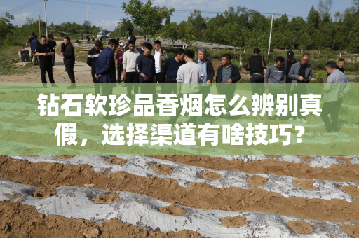 钻石软珍品香烟怎么辨别真假，选择渠道有啥技巧？