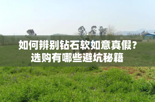 如何辨别钻石软如意真假？选购有哪些避坑秘籍
